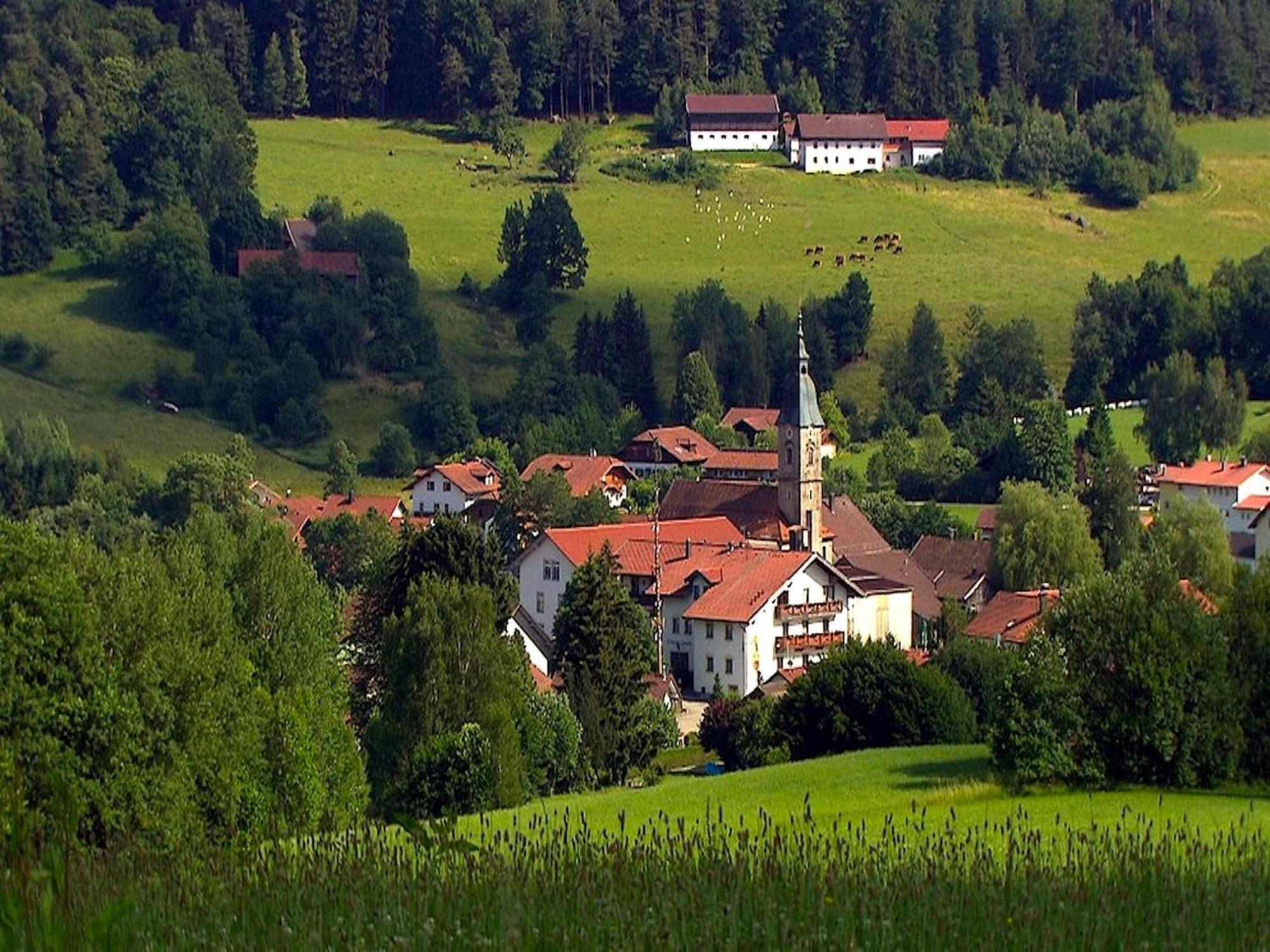 Comfortable Apartment In Zenting In Lower Bavaria Eksteriør bilde