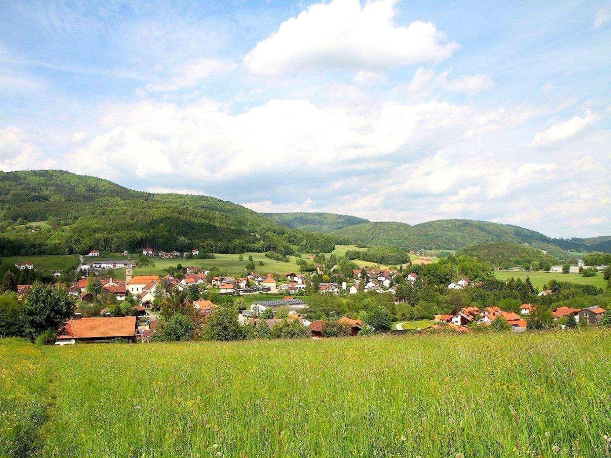 Comfortable Apartment In Zenting In Lower Bavaria Eksteriør bilde