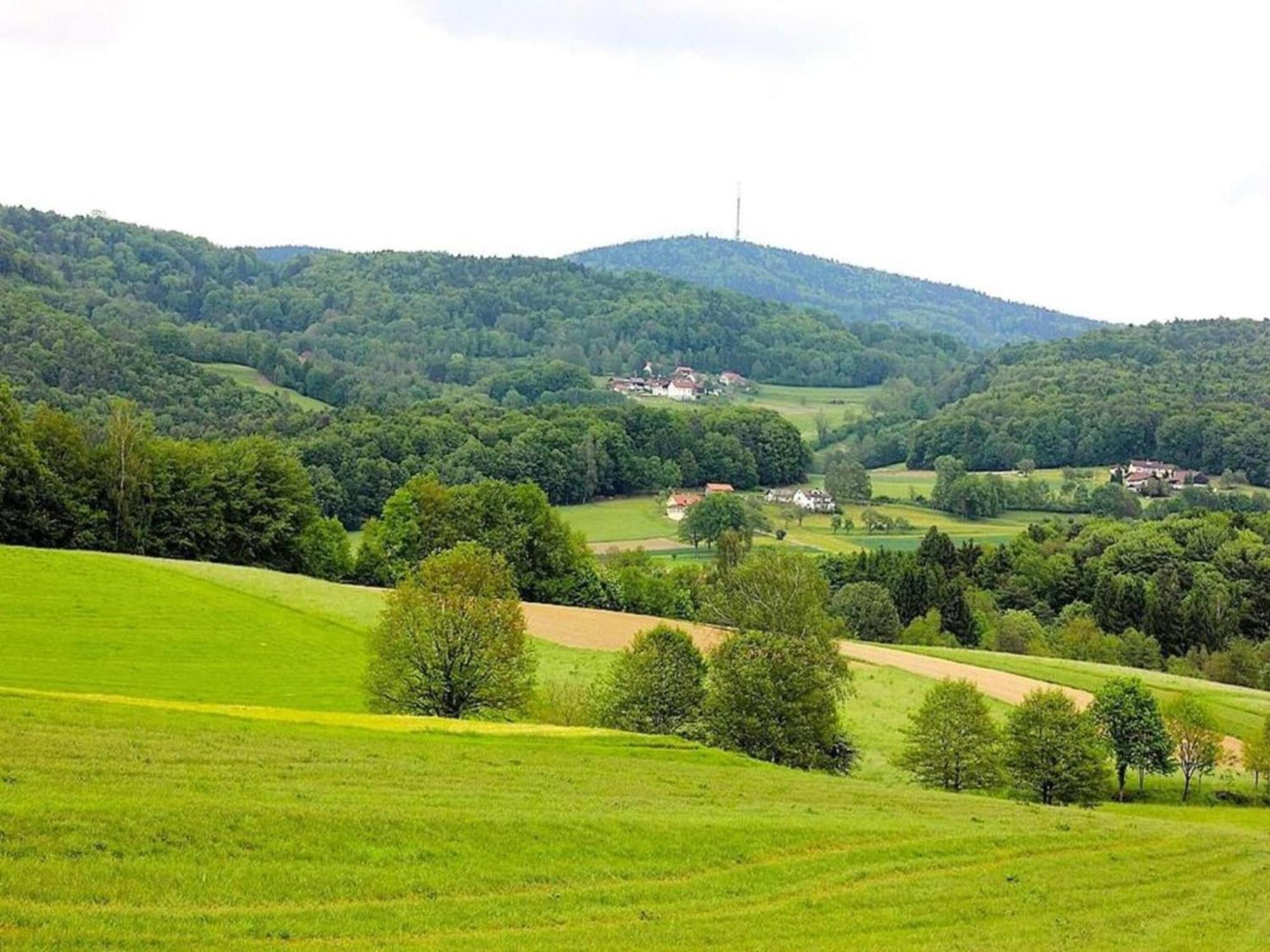 Comfortable Apartment In Zenting In Lower Bavaria Eksteriør bilde